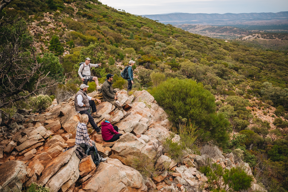 Arkaba Walk views flinders rangers