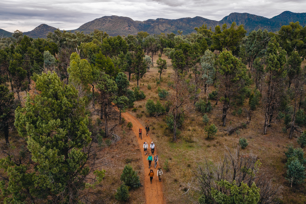 Flinders ranges arkaba walk walking group